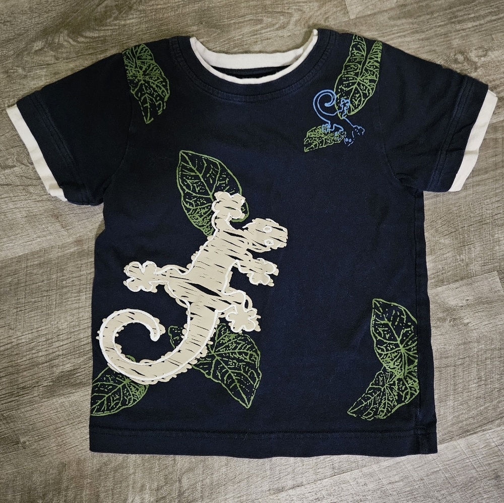Boys JKhaki Short Sleeve Tshirt with Gecko design Size 5
